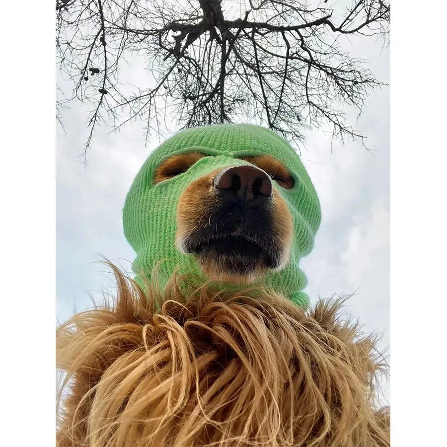 Dog costume Ski mask (for large dogs)