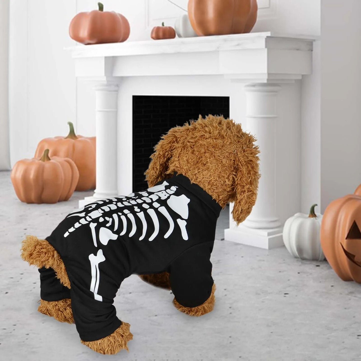 Halloween Skeleton Dog Costume