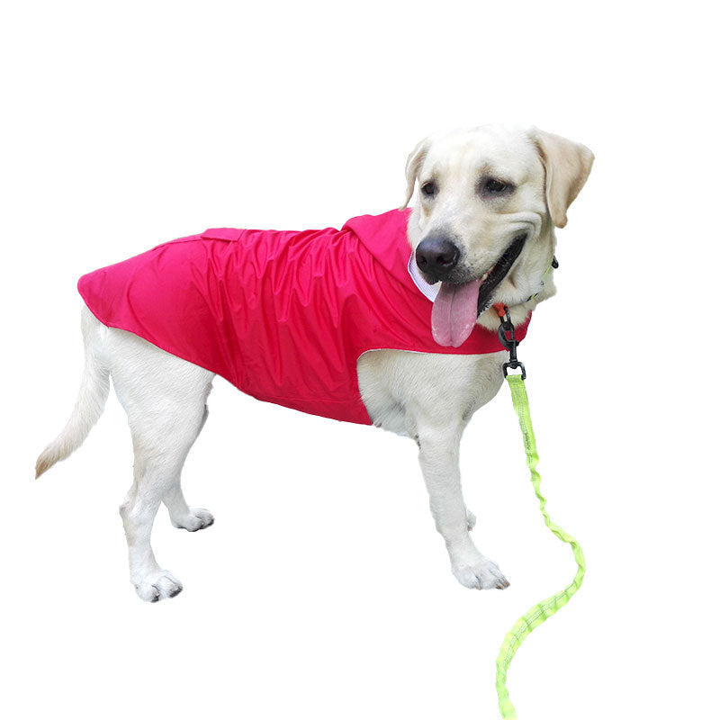 Raincoat for Dogs