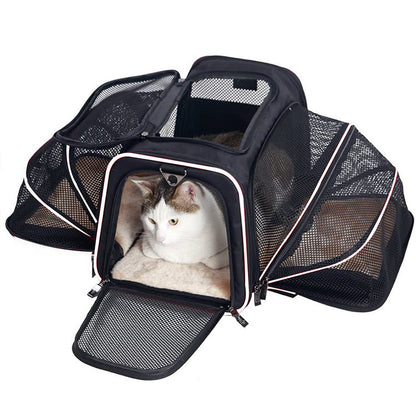 Airline Approved foldable Pet Carrier