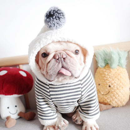 Winter Hoodie For Dogs.