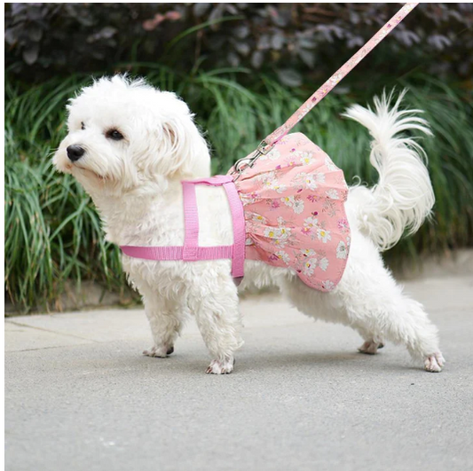 Floral Harness Dress with Leash