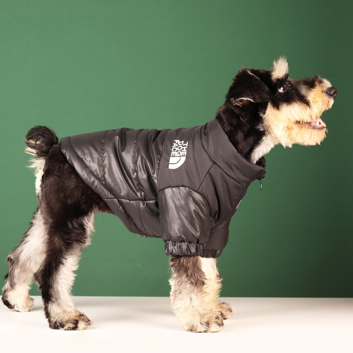 Warm Windproof Winter Dog Clothes (THE DOG FACE COATS)