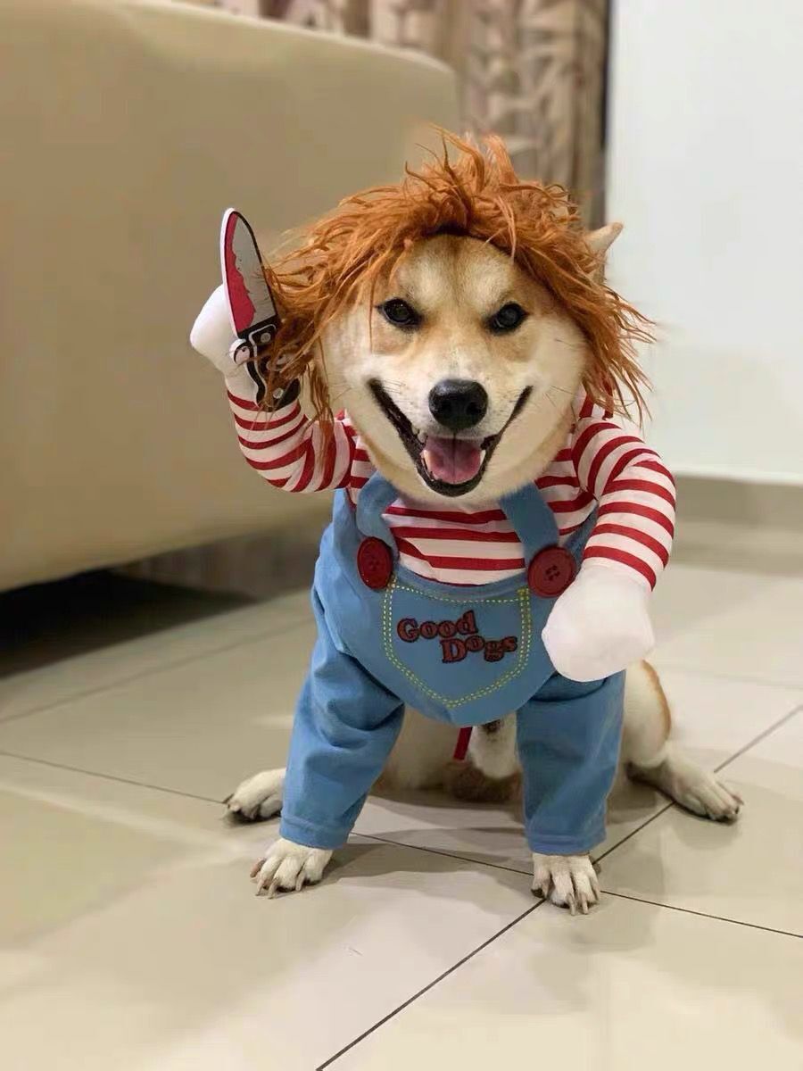 Chucky Costume For Halloween