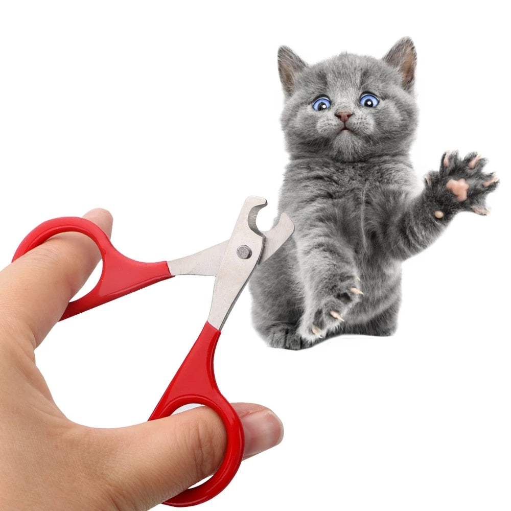 safe to use Cat Nail Clippers