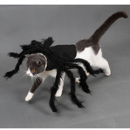 Spider Costume for Dogs