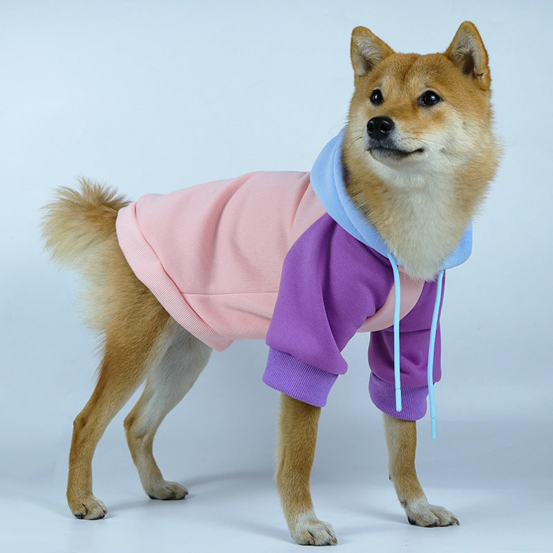 Cool hoodie for your dogs
