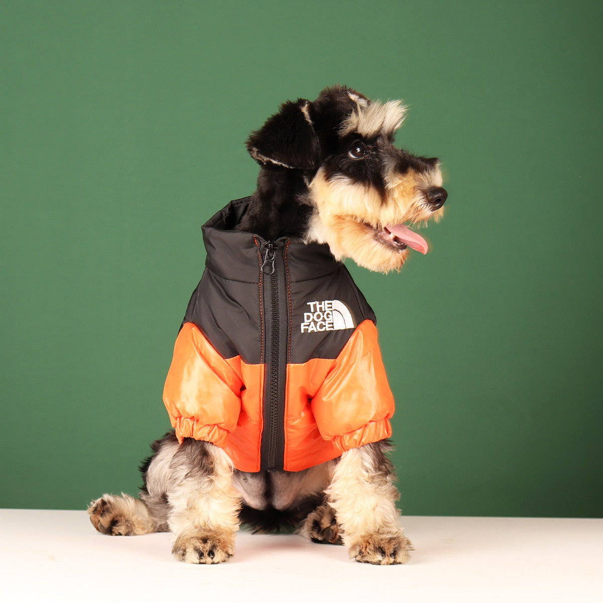 Warm Windproof Winter Dog Clothes (THE DOG FACE COATS)