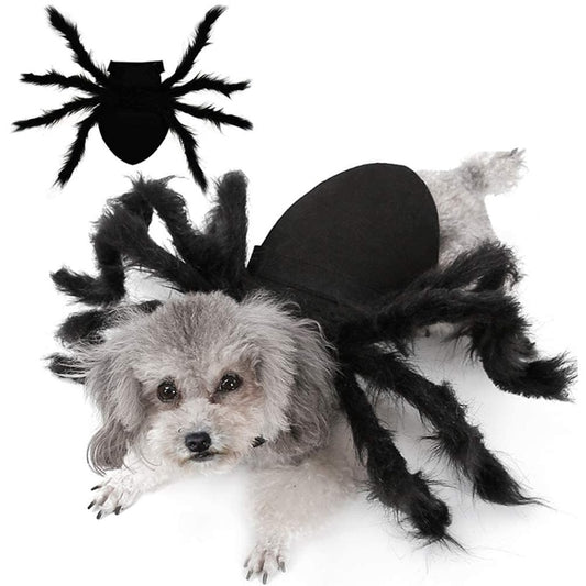 Spider Costume for Dogs