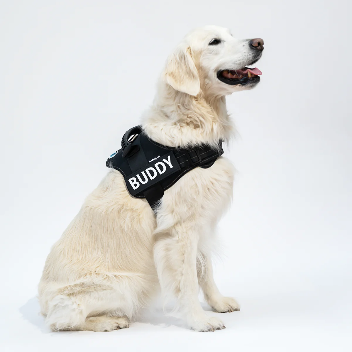 Anti-Choke Pet name harness