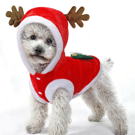 Dog Christmas costume