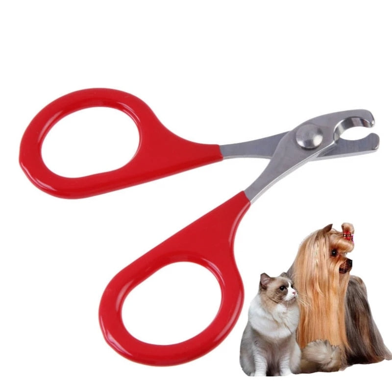safe to use Cat Nail Clippers